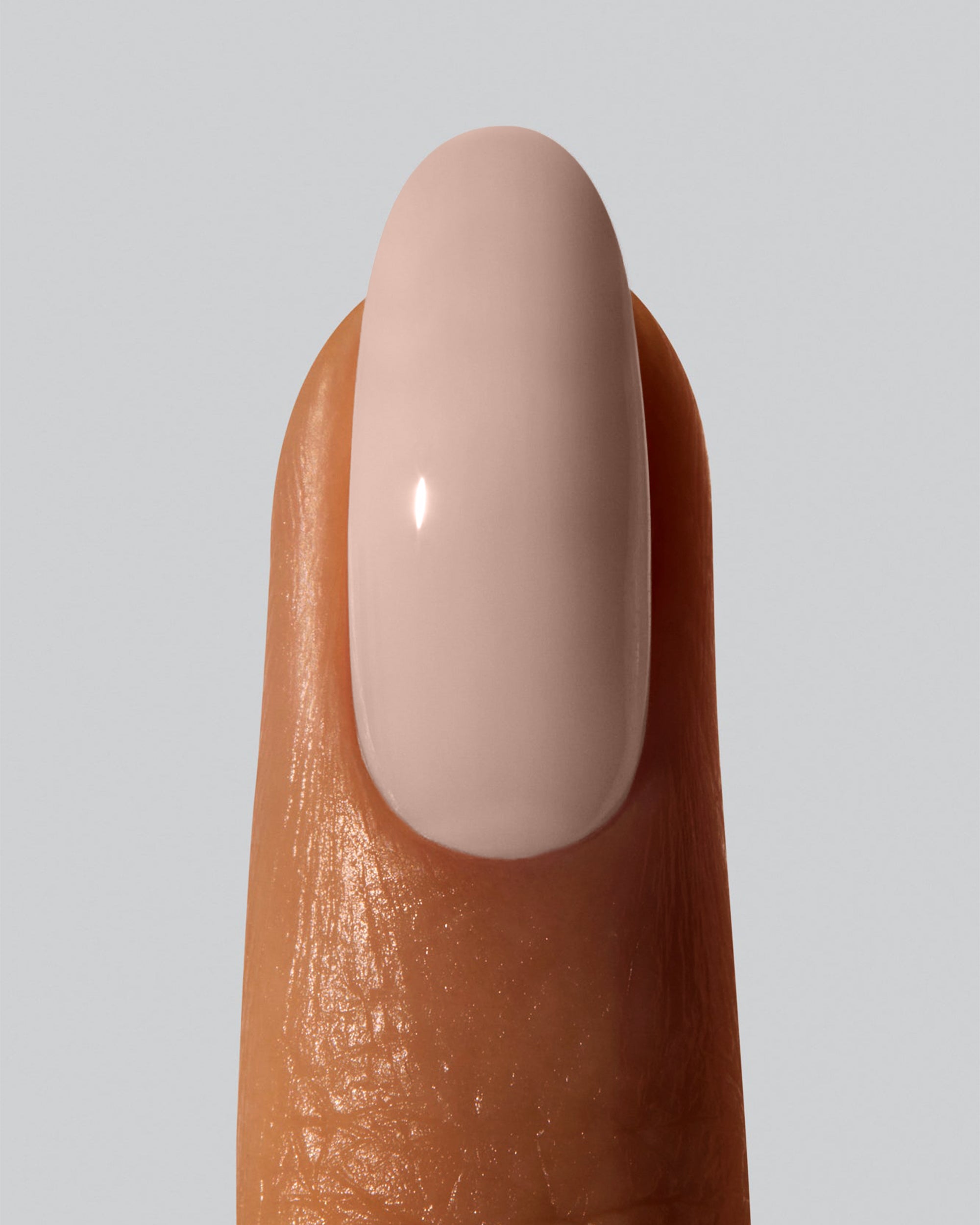 Neutral coral